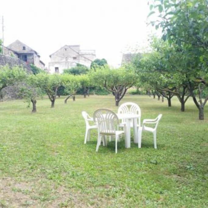 Casa Rural Barangua En El Pirineo Aragones Santa Cruz de la Serós Buitenkant foto